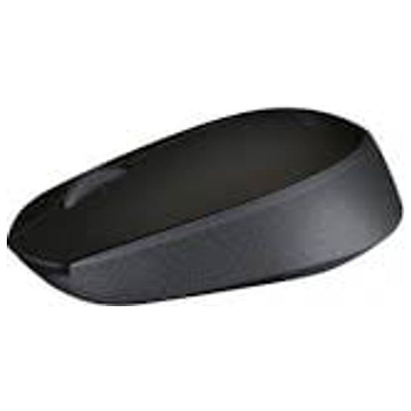  Logitech M171 Wireless Mouse - 2.4GHz USB Connection - Up to 12 Months Battery Life - Ergonomic Ambidextrous Design - Black 