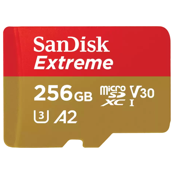  SanDisk Memory Card - 256GB - Supports 4K and 5K 