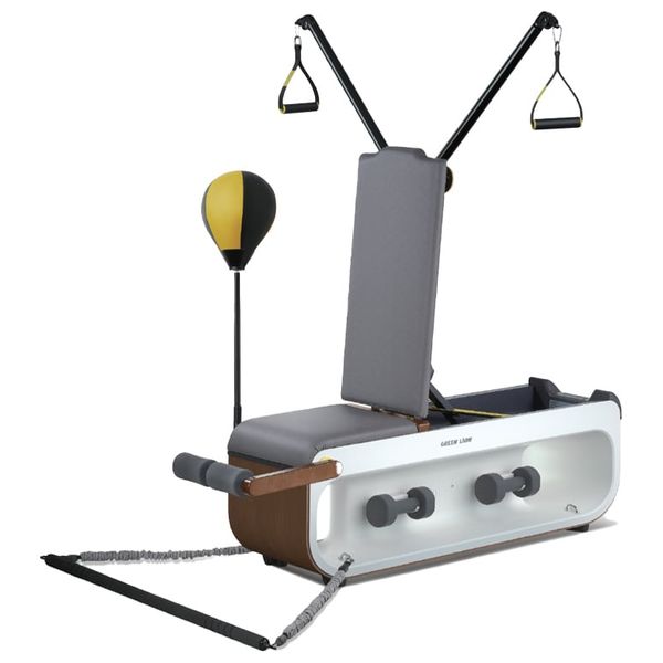  Green Lion Multifunctional Fitness Bench GNMULFITCHGY - Premium Leather - Built-in Wheels 