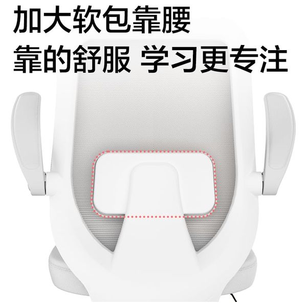 كرسي مكتب مريح قابل لتعديل الارتفاع مع مسند ظهر من ديلي - KF219 - مناسب لفترات جلوس طويلة