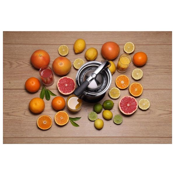  Gorenje CJ100HE - 100W - Juicers - Steel 