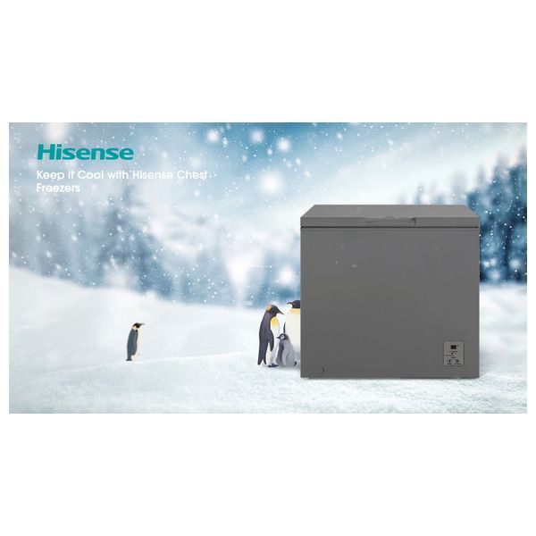  مجمدة افقية هايسنس - 9 قدم - FC26DT4SAT - رمادي 