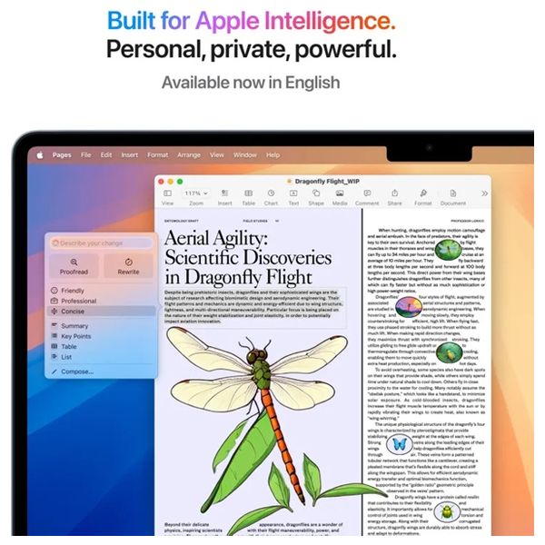 Apple 13-Inch - MacBook Air - M4 10-Core - 256GB SSD/16GB - 8-Core - MacOS