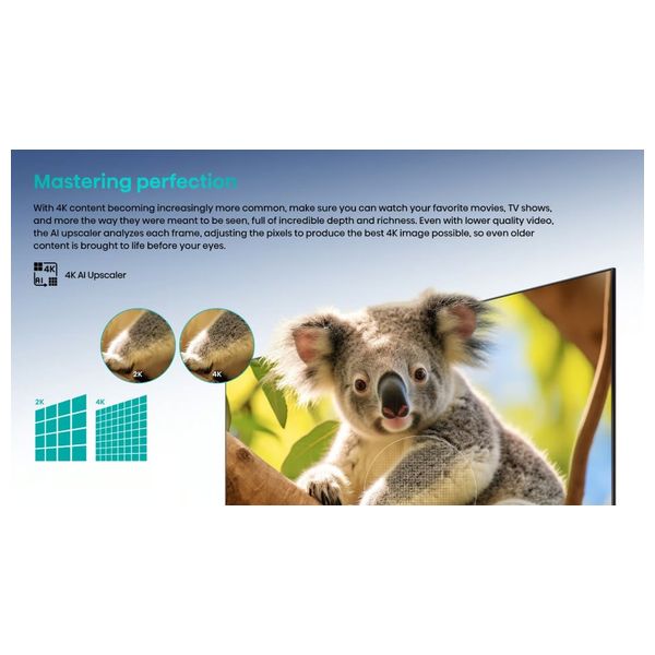  Hisense 65 -Inch Q6GN Series - Smart - 4K - QLED - 60Hz 